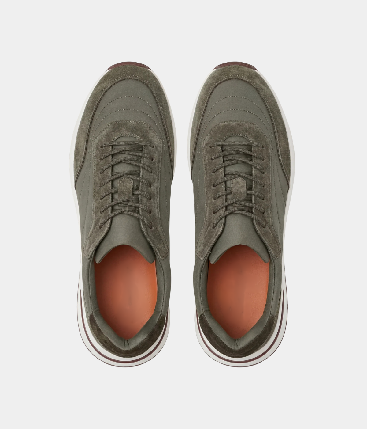Olive Amalfi